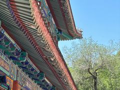 -潭柘寺景区