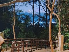 -水濂山森林公园