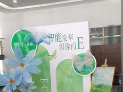 -奔驰利星行(北京花乡店)