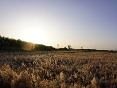 -张掖大佛寺景区