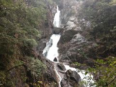 -九龙江国家森林公园