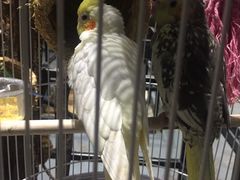 -zoonana室内动物园(东方福来德店)