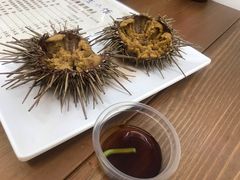 生海胆-海胆小馆(东北水饺·春柳店)