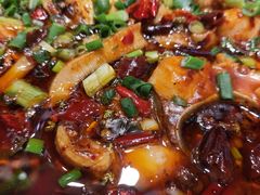 -新概念来凤鱼(璧山店)