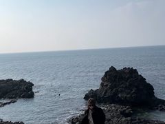 -涉地可支