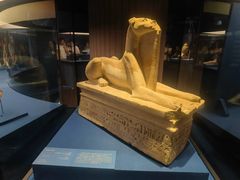 -上海博物馆(人民广场馆)