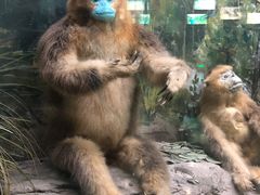 -国家自然博物馆