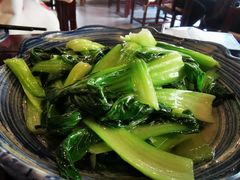 农家小青菜-曾福兴
