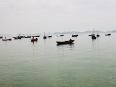 -鄱阳湖国家湿地公园