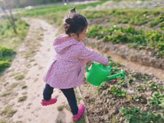 -前小桔亲子创意农场·草莓采摘·露营烧烤