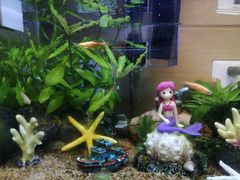 -大润发(姑嫂树店)