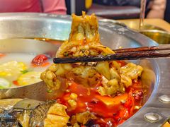 -七友美蛙鱼头火锅(坂田店)