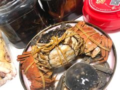 -黄记大闸蟹专卖店·活蟹·醉蟹