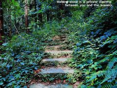 -素山寺森林公园