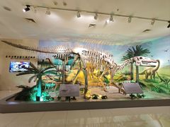 -甘肃地质博物馆