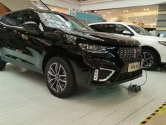 -紫荆广场·花漫里