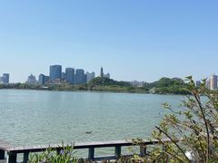 -顺峰山公园