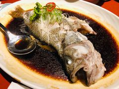 广式葱油蒸鲈鱼-镇江苏宁万豪酒店-苏筵中餐厅