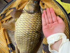 -酷鱼垂钓CLUB(朝阳区博大路店 )