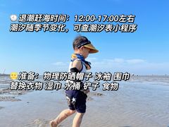 -南汇嘴观海公园