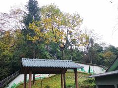 -碧峰峡风景区