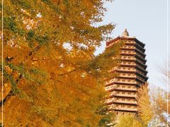 -玲珑塔公园
