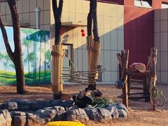 -秦皇岛野生动物园