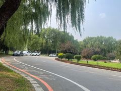 -莫子山公园