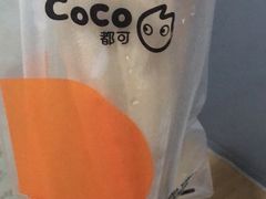 -CoCo都可(丁家庄店)