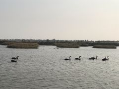 -天山海世界·米立方