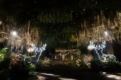 -贵阳国际生态会议宴会中心