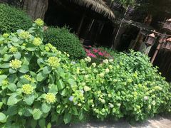 -龙源九号花园酒店(叶埠桥店)