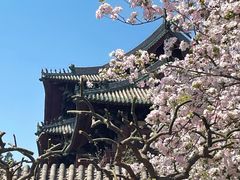 -隆兴寺