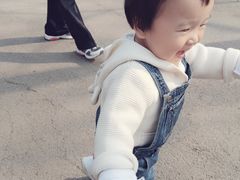 -石家庄市动物园