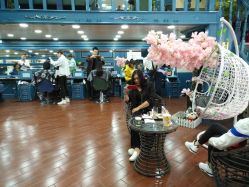 -Hair Glam 格拉姆造型旗舰店