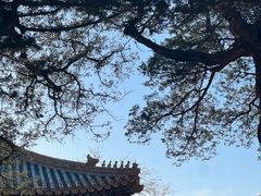 -故宫博物院(故宫)