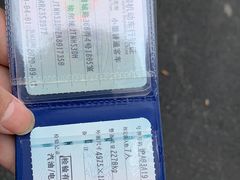 千岛湖大鱼头汤-粤·啫啫