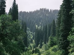 -新疆那拉提国家旅游度假区
