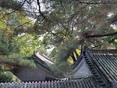 -潭柘寺景区