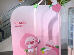-KAKAO FRIENDS(弘大店)