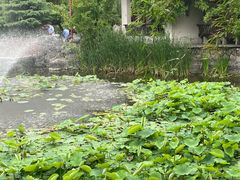 -郑和公园