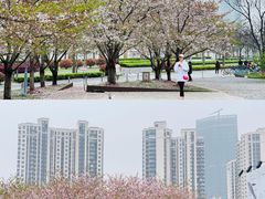 -龙美术馆(西岸馆)