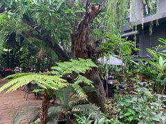 -Fern Forest Cafe