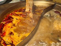 -房子红了鱼豆花重庆老火锅(广厦学院店)