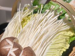 -同仁四季椰子鸡(车公庙店)