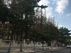 -青岛第三海水浴场