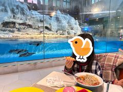 -帝企鹅自助餐厅•儿童岛•真企鹅(长隆企鹅酒店)