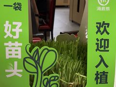 -海底捞大排档火锅(打浦路店)