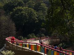 -云溪植物园