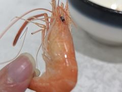 -水上人家河鲜